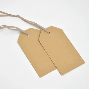 Luggage Kraft Gift Tags Mink (50)