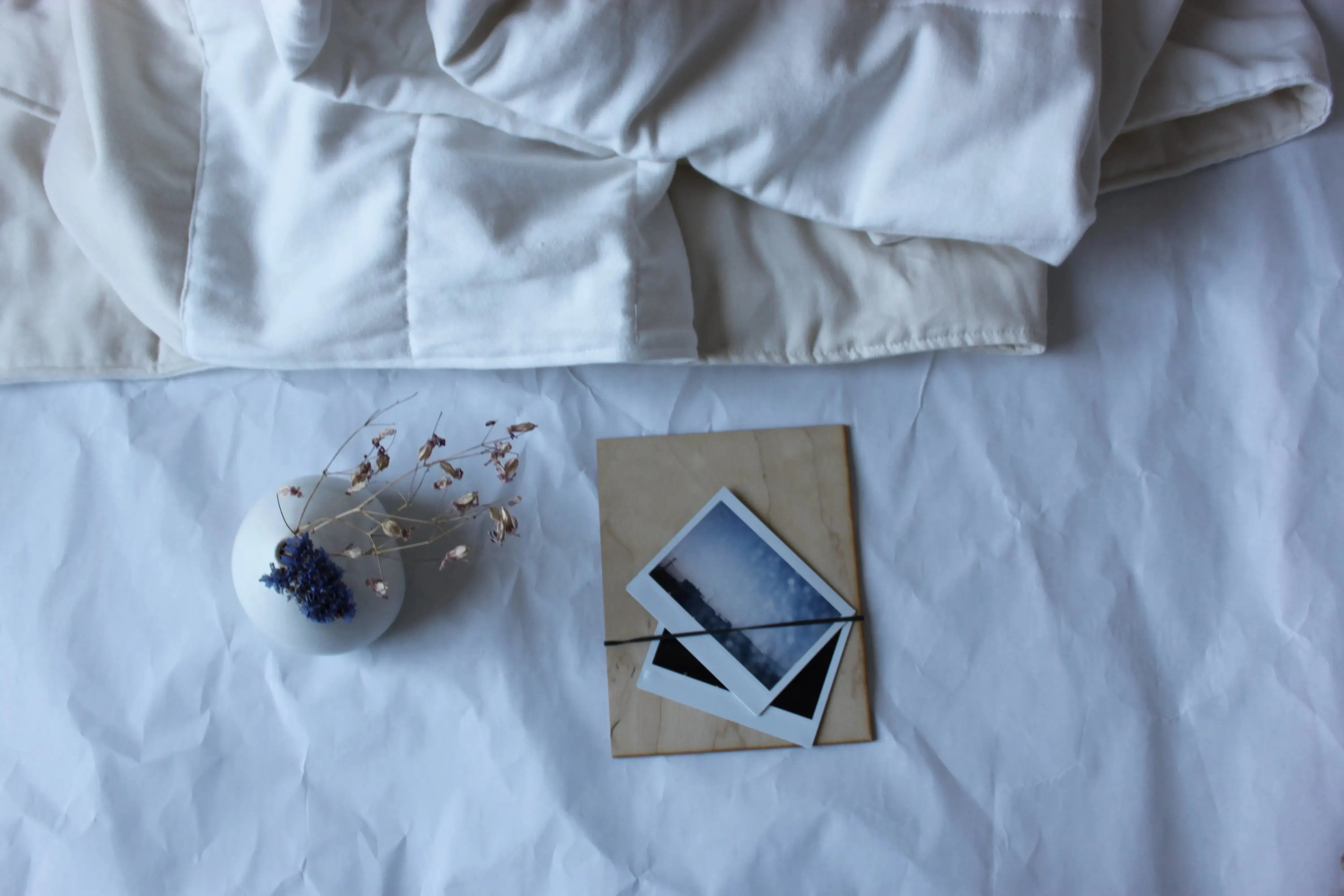 Plant-dyed, 100% Organic Cotton Quilts